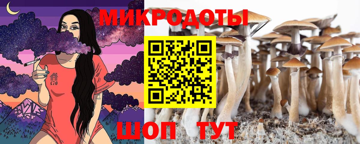 Урюпинск  Псилоцибиновые грибы Psilocybe  Вход с VPN 